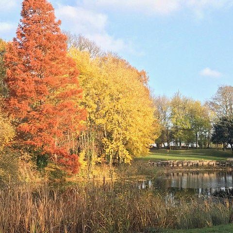 Mardyke Valley Golf Club